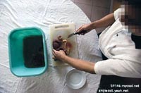dvubb 圖片點擊可在新視窗打開檢視