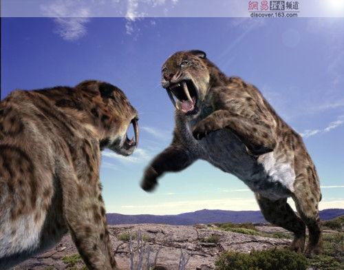 dvubb 圖片點擊可在新視窗打開檢視