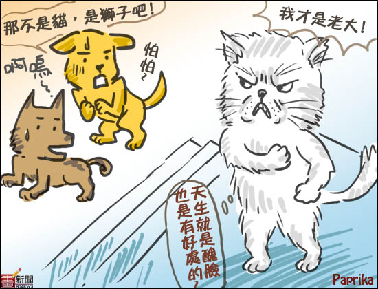 dvubb 圖片點擊可在新視窗打開檢視