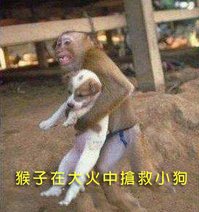 dvubb 圖片點擊可在新視窗打開檢視