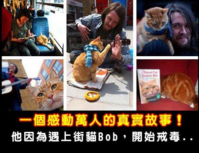 dvubb 圖片點擊可在新視窗打開檢視
