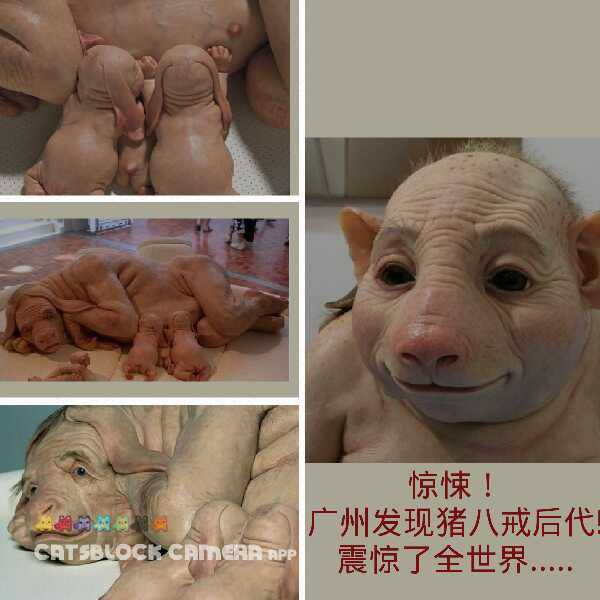dvubb ¹Ï¤ùÂIÀ»¥i¦b·sµøµ¡¥´¶}À˵ø