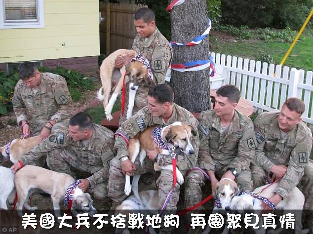 dvubb 圖片點擊可在新視窗打開檢視
