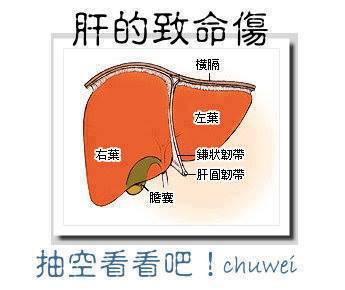 dvubb 圖片點擊可在新視窗打開檢視