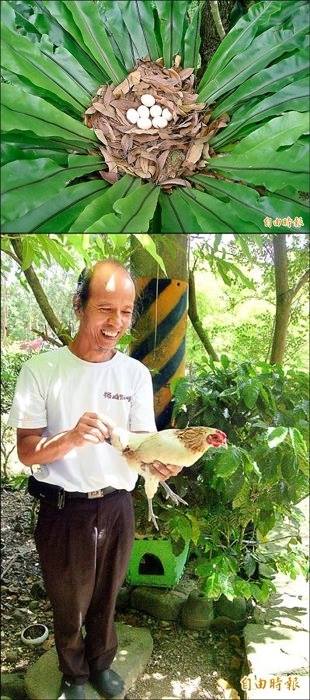 dvubb 圖片點擊可在新視窗打開檢視