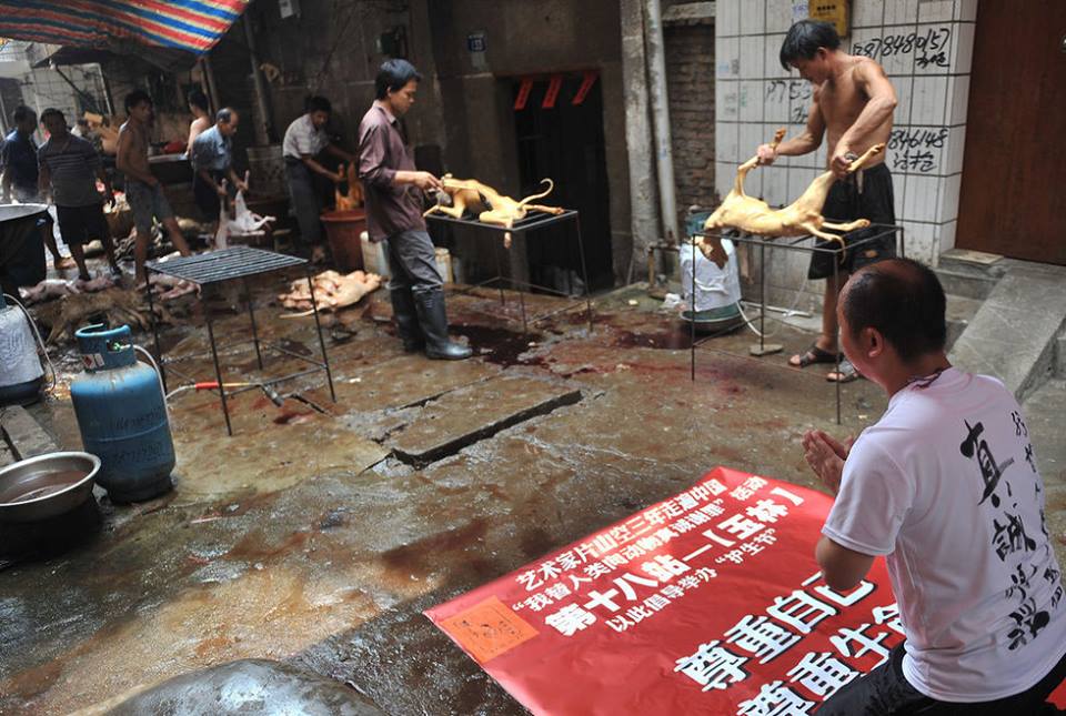 dvubb 圖片點擊可在新視窗打開檢視