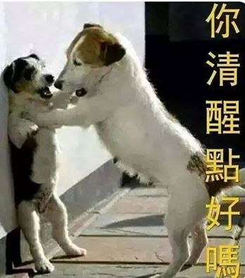 dvubb 圖片點擊可在新視窗打開檢視