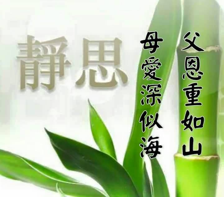 dvubb 圖片點擊可在新視窗打開檢視