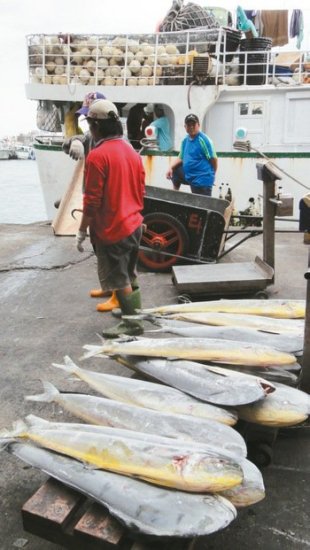 dvubb 圖片點擊可在新視窗打開檢視