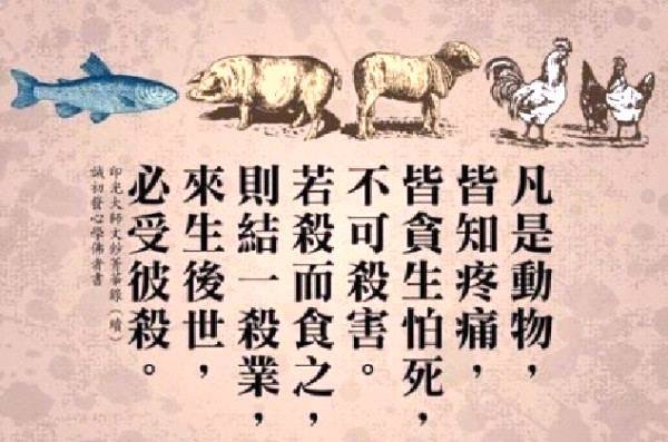 dvubb 圖片點擊可在新視窗打開檢視
