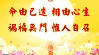 dvubb 圖片點擊可在新視窗打開檢視
