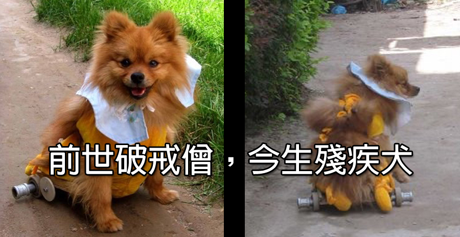 dvubb 圖片點擊可在新視窗打開檢視