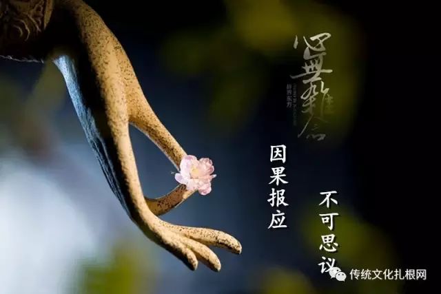 dvubb 圖片點擊可在新視窗打開檢視