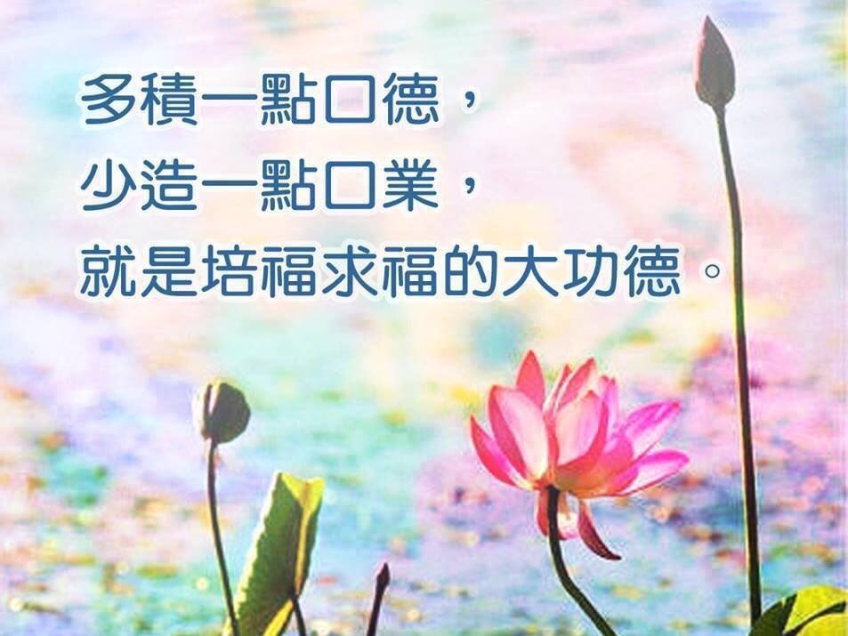 dvubb 圖片點擊可在新視窗打開檢視