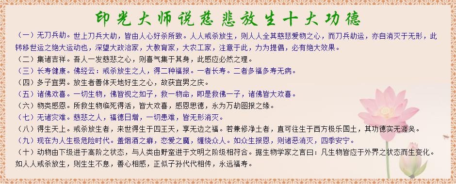 dvubb 圖片點擊可在新視窗打開檢視