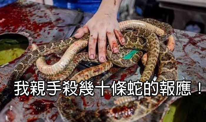 dvubb 圖片點擊可在新視窗打開檢視