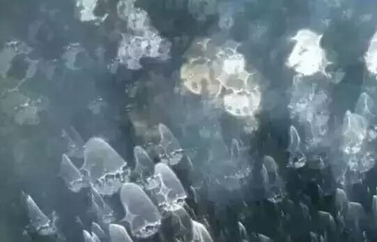 dvubb ¹Ï¤ùÂIÀ»¥i¦b·sµøµ¡¥´¶}À˵ø