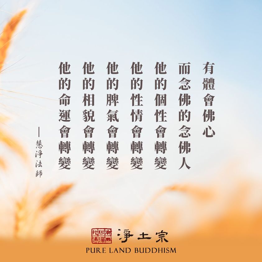 dvubb 圖片點擊可在新視窗打開檢視