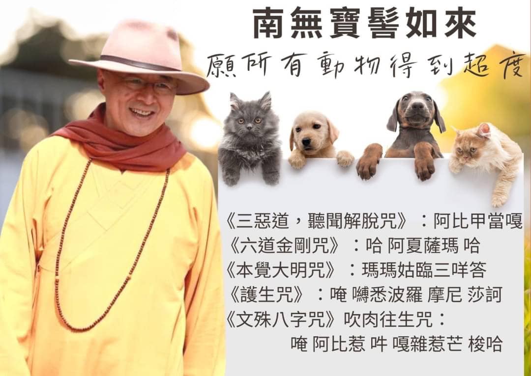 dvubb 圖片點擊可在新視窗打開檢視