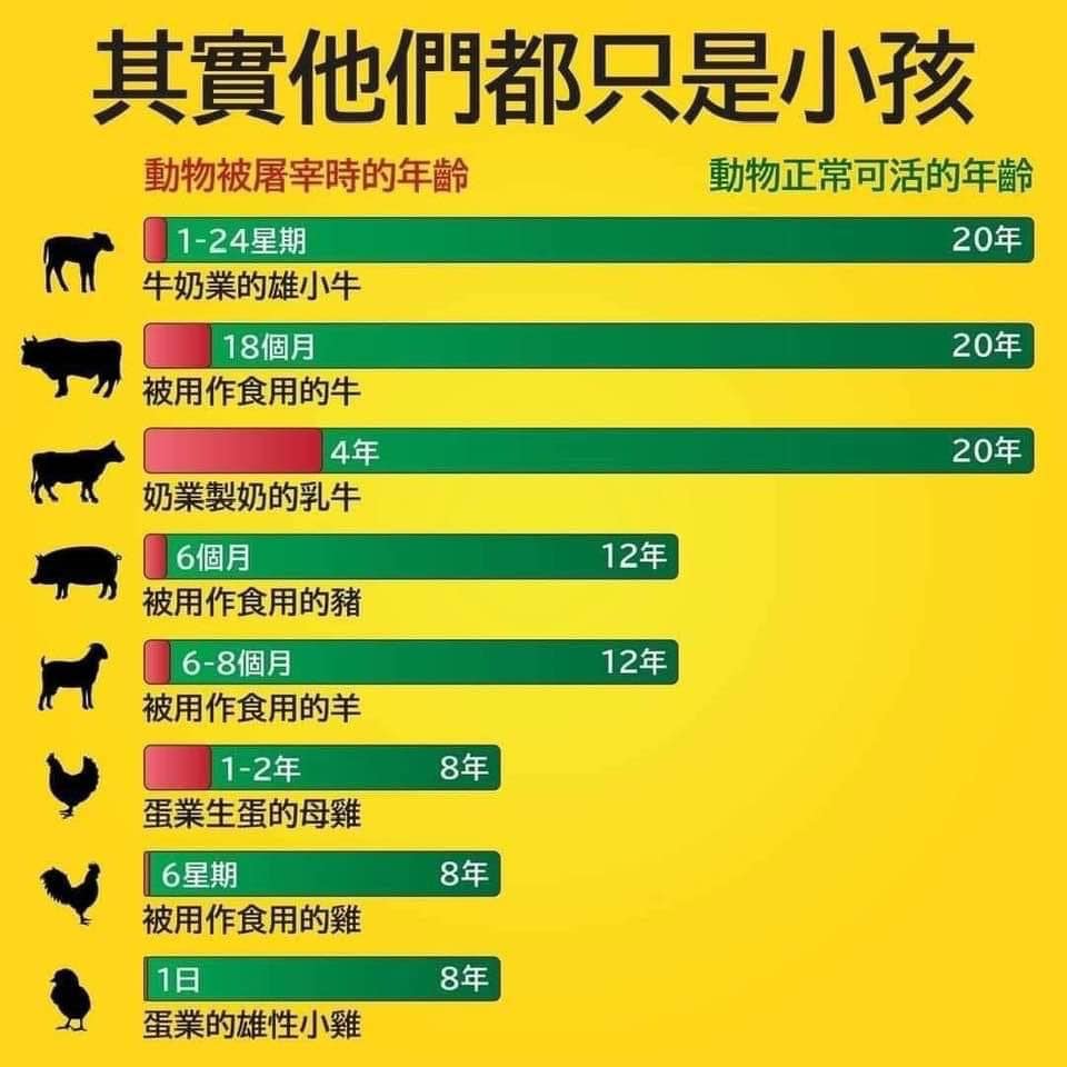 dvubb 圖片點擊可在新視窗打開檢視