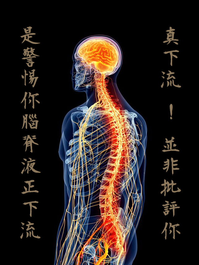 dvubb 圖片點擊可在新視窗打開檢視