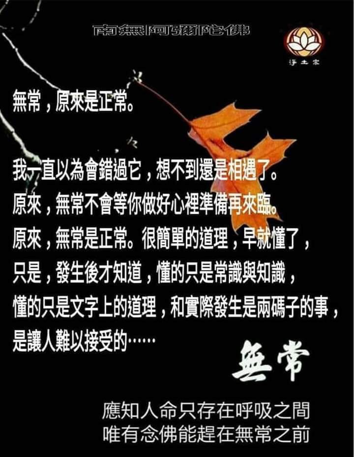 dvubb 圖片點擊可在新視窗打開檢視